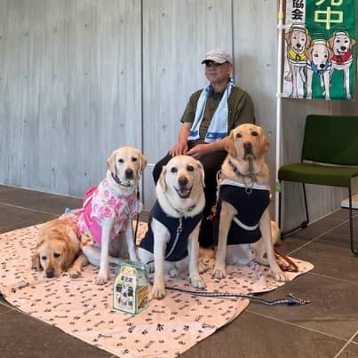 ピンクの敷物の上に並ぶ4頭の犬と、後ろの椅子に座る帽子の男性の写真
